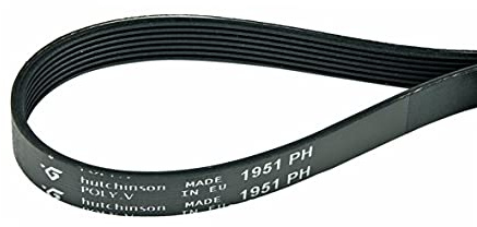 courroie Trapézoïdale de Transmission Sèche-linge Striée 1951PH7 1951H7 150612403