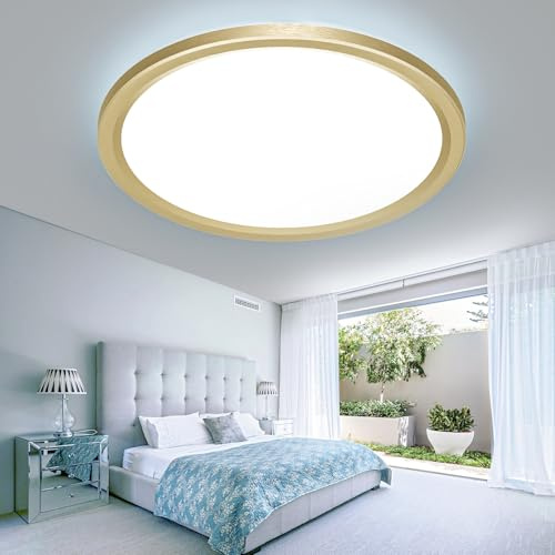 slochi LED Ceiling Light 22CM, 18W 1800LM Bathroom Lights 3000K/4000K/6500K, Flush Round Waterproof Ceiling Fittings Lighting for Bedroom Kitchen Hallway Indoor Gold