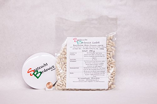 250 g Buschbohne Maja Bohnensamen Bohnensaat fadenlos frühe Sorte hoher Ertrag Gemüsesamen Gartenbohne