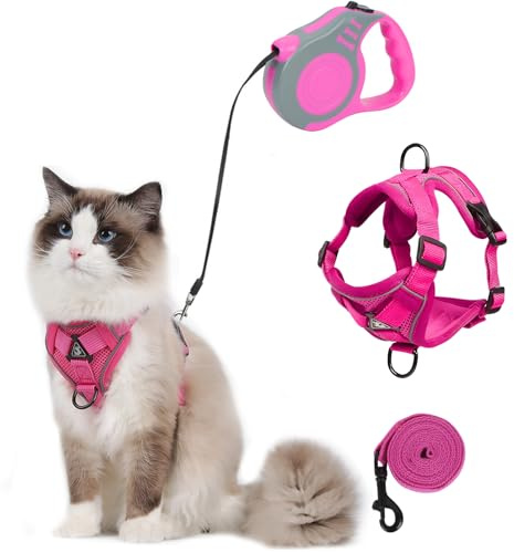 Pettorina Gatto con Guinzaglio per Gatti Allungabile, Antifuga Pettorina per Gatti, 2 Guinzaglio Gatto 500cm & 150cm, Regolabile Pettorina Cane per Gatti e Cani Di Piccola Taglia Grigio S