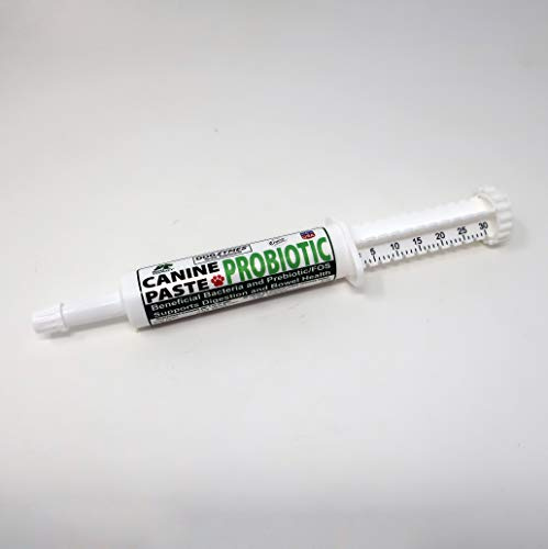 DOGZYMES Canine Probiotic Paste for Dogs, 30cc