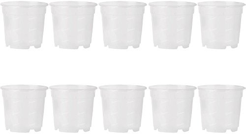 Promo Lot de 10 pots pour orchidées, diamètre 21 cm, entièrement transparents