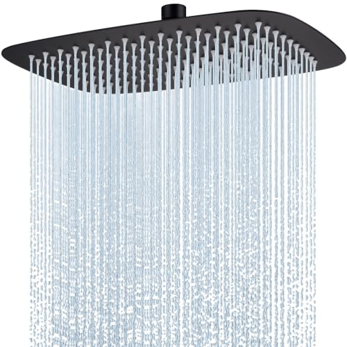 Hardivalue Edelstahl-Regendusche 30 × 20 cm, Mattschwarz