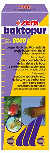 sera baktopur 500 ml - Arzneimittel für Fische gegen bakterielle Infektionen (z. B. Maul- und Flossenfäule), Medizin fürs Aquarium