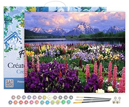 Figured'Art Pintar por Numeros Adultos con marco Flores 2 - Manualidades pintura acrilica Kit Cuadro DIY completo - 40x50cm con bastidor montado