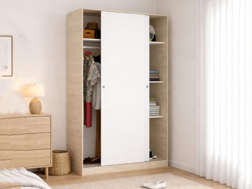 Dmora Guardaroba 2 Ante Denali 50x204h cm Bianco Bianco Lucido Appendiabiti 4 Ripiani, Armadio Camera da Letto 2 Ante