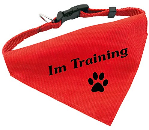 Hunde-Halsband mit Dreiecks-Tuch IM TRAINING, längenverstellbar von 32 - 55 cm, aus Polyester, in rot