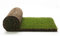 Prato Erboso Shop - Prato pronto a rotoli in erba vera naturale, Erba da giardino, 40cm x 123cm, pianta vera