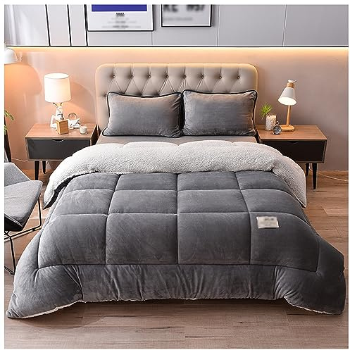 FDISDIFH Agnello Cashmere E Velluto Tessuto di Lana Caldo Inverno Trapunta Addensare Queen Size Piumino, Addensare Caldo Doppio Strato Coperta (Dark Gray 180x220cm(3.5kg))