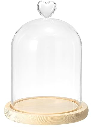 PATIKIL 5.9x4.7 Glass Dome Cloche, Clear Glass Bell Jar Display Case Tabletop Centerpiece with Wooden Base for LED Light Plants Home Decor, Natural