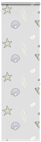 Tenda a rullo per porta del balcone, con cassetta, 70 x 240 cm, larghezza tessuto 66 cm, per finestre e porte