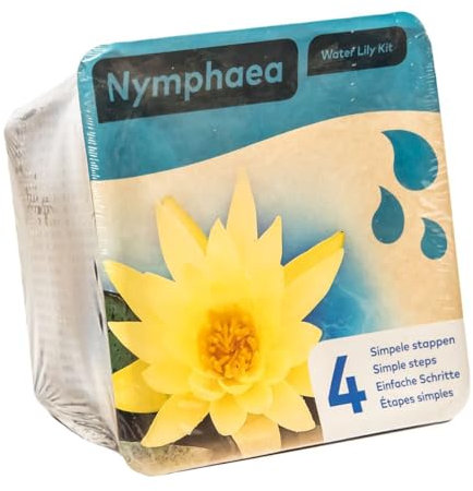 Moerings Yellow Water Lily Pond Plant Kit - Complete Kit for Easy Pond Setup