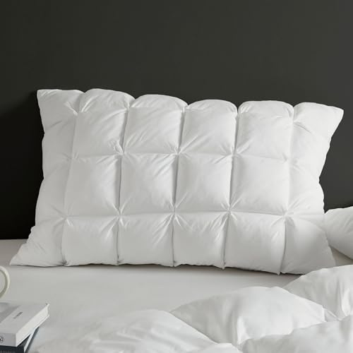 Madison Park Standard Pillowcase Puffy Pillow Protector Overfilled High Desity Fill Pillow Cover, 3D Puff Quilted Microfiber Fluffy Pillowcase, Zipper Closure, Stay Puffed, Standard, White 1 Piece