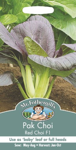 Mr Fothergill's 17135 Vegetable Seeds, PAK Red Choi F1