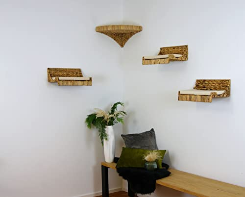 Lycce Katzen-Kletterwand mit Kissen Wasserhyazinthe 4er Set