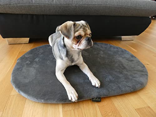 Lebon Liegematte für Hunde, Hundebett - 90 Grad waschbar - Made IN EU