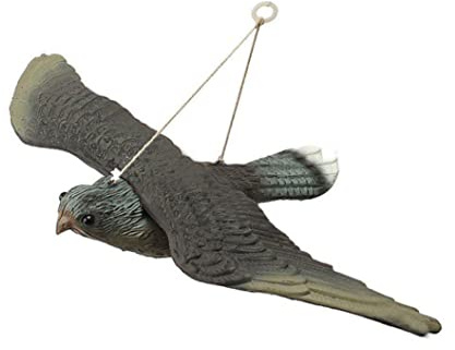 DECOY FALCON volante, deterrente per uccelli di esca da falco volante vitale con corde sospese, finto più spaventoso, controllo del gatto di gatto per l'uso del giardino