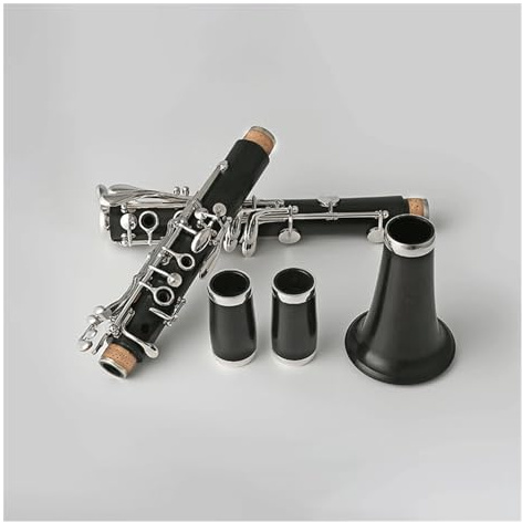 Klarinette Instrument Professionelles 17-Tasten-B-Klarinetteninstrument Mit Versilbertem Ebenholzkorpus Und Aufbewahrungsbox