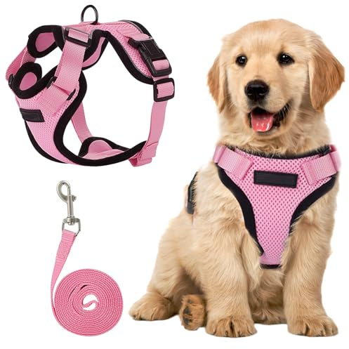 EDLMKM Dog Harness and Leash Set No Pull, Soft Mesh Adjustable Reflective Breathable Vest Step-in Puppy Harnesses, Easy Walk Harness with Safety Buckle for Extra Small and Small Dogs, Pink, M