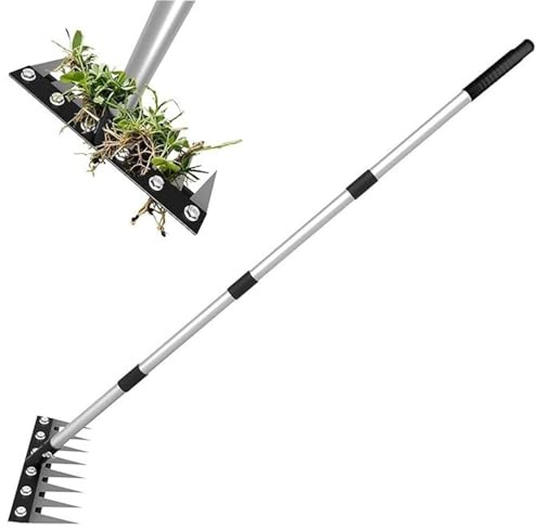 Skkpolo Désherbeur À Main, Rateau De Désherbage À Manche Long Extensible Râteau De Jardin Outil De Désherbage Manuel Outils Jardinage pour Cour, Pelouse, Terrasse