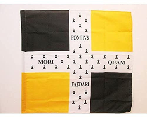 AZ FLAG Drapeau Ordonnance du régiment de Bretagne 1757 à 1791 90x90 cm | Usage intérieur et extérieur Drapeau décoratif breton coutures doubles et bords renforcés avec fourreau pour mât