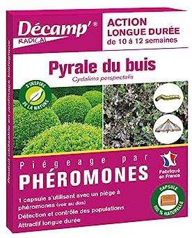 Décamp Pheromon gegen die Pyrale des Buchsbaums, lang anhaltend