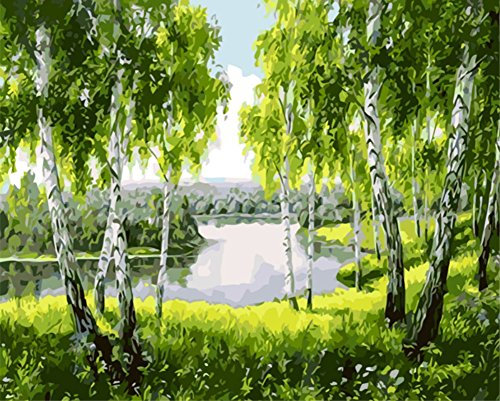 ABEUTY Malen nach Zahlen für Erwachsene Anfänger – Pappel See, Landschaft Bäume schöne 40,6 x 50,8 cm Zahlen Gemälde (Holzrahmen)