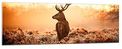 Panorama Bilder auf Glas 160x50cm Glasbild Hirsch Natur Feld Groß XXL Wanddeko Bild im Glas Schlafzimmer Küche Wandbilder Dekoration Wohnzimmer Modern Wall Decor Wand Kunstdruck Art GAB160x50-3632