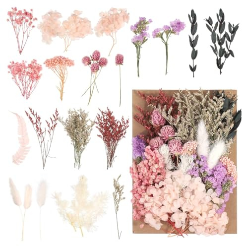 OUDQFCJ Fiori Secchi Naturali, Veri Fiori Secchi Pressati, Misti Petali e Foglie, Decorativi, Nebbiolina Secca Per Decorazioni, Per Resina, Candele, Gioielli, Unghie, Scrapbooking e Decorazioni