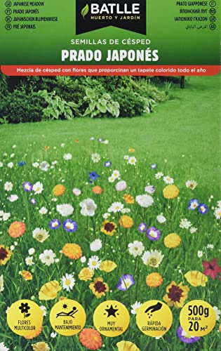 Semi Batlle – cesped Prado