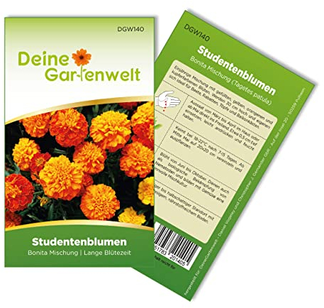 Studentenblumen Bonita Mischung Samen - Tagetes patula - Studentenblumensamen - Blumensamen - Saatgut für 50 Pflanzen