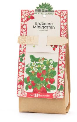 Die Stadtgärtner Erdbeere Anzuchtset Starter-Komplettset mit Saatgut Erdbeere, Anzuchterde & Pflanzgefäß | Perfekt als besonderes Geschenk, Mitgebsel und Aufmerksamkeit