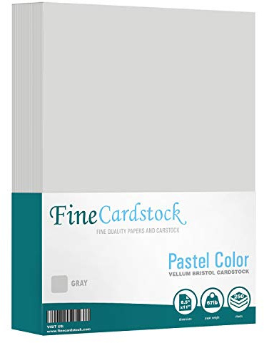 Gray 67lb Vellum Bristol Cardstock, Lightweight Cover Card Stock Paper - Great for Arts and Crafts, Wedding Invitations, Documents and Brochures | 8.5 x 11 (Letter Size) | 250 Sheets per Pack