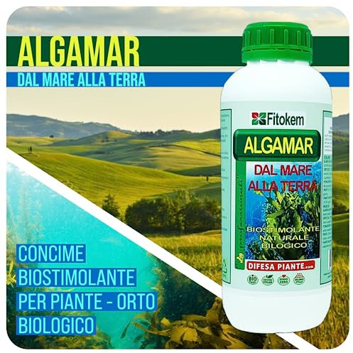 FITOKEM ALGAMAR - Concime Piante Verdi, Prato, Orto, Agrumi, Limoni (1 Kg) Fertilizzante Piante Naturale Biostimolante con Alghe Brune, Rinvigorisce e Aiuta la Pianta nei Periodi di Stress Biologico