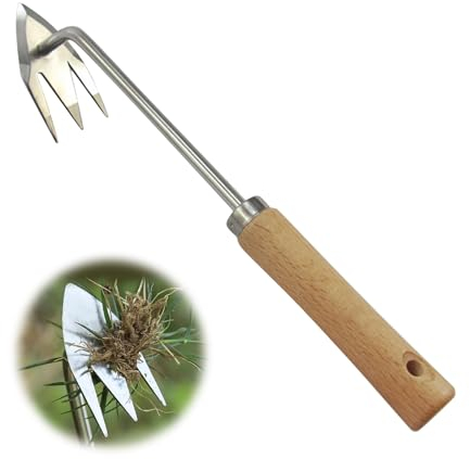 Nexoria Fugenkratzer, Unkrautstecher Edelstahl Fugenmesser mit Stiel Fugenreiniger Fugenkratzer zum Entfernen von Moos und Unkraut Manueller Unkraut Werkzeug für Garten (C)
