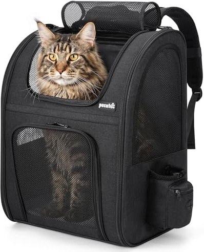 Pecute Kattbärare hundryggsäck, andningsbar husdjursryggsäck med framöppning-nät fönsterfickor, luftigt stort utrymme för att bära hundar svart, L