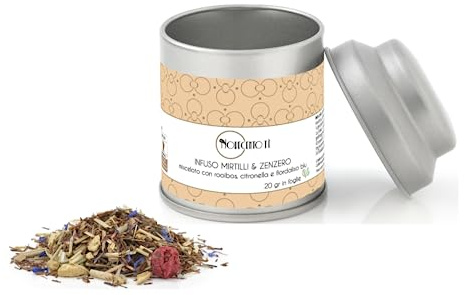 Novecento Tè® | Infuso Mirtilli e Zenzero | Tisana Zenzero Mirtilli Fiordaliso in Foglie 20 Gr | Rooibos Mirtilli Zenzero | The Rosso Miscelato con Frutta e Spezie Sfuso