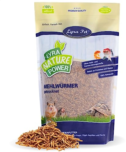 Lyra Pet® | 5 kg Mehlwürmer getrocknet | Reich an Proteinen | Energie für Insektenfressende Vögel, Nagetiere, Zier- und Teichfische | Wildvogelfutter für Sommer & Winter | Vitaminreich & Fetthaltig