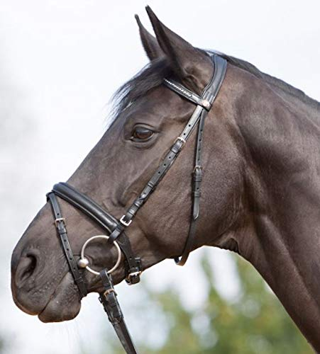 Kieffer Trensenzaum Ultrasoft - schwarz - Warmblut