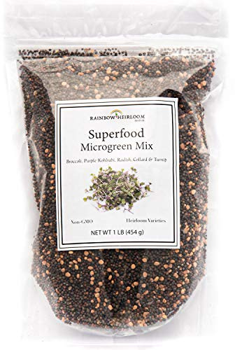 Superfood Microgreen Seeds Mix | for Microgreens Growing Trays | 1 LB | Heirloom Non GMO Purple Kohlrabi, Collard, Radish, Turnip & Broccoli Sprouts Seeds | Rainbow Heirloom Seed Co.