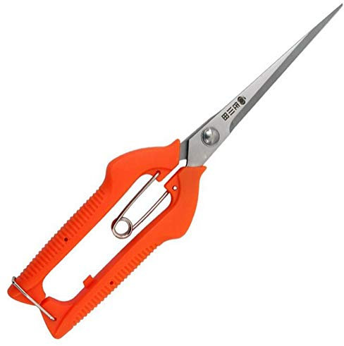 KATUR Forbici professionali da potatura per rose da giardino, lame dritte in acciaio inox, per la disposizione dei fiori, la potatura delle piante, la raccolta della frutta (lunghezza della lama: 96