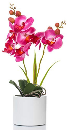 Alyphyly Artificial Flower Bonsai with Vase Vivid Orchid Flower Arrangement Phalaenopsis Flowers Pot for Home Office Décor Table Centerpiece House Decorations(Ceramic Pot/Purple Orchid)