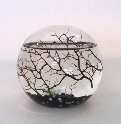 ecosphere Original Kugel 13 cm schwarzer Kies !! Neu!! Miniaturwelt hinter Glas