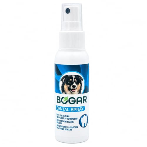 Bogadent DENTAL CARE SPRAY - Dentalspray für Hunde - Spray für Hunde Zahnpflege - Zahnpflege Hund Spray gegen Zahnstein & Mundgeruch