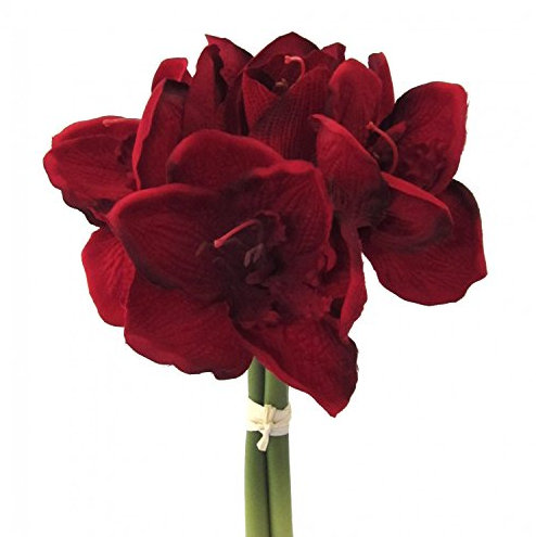 Fuchs seit 1895 Künstlicher Amaryllis Bund in dunkelrot Kunstpflanze 30 cm