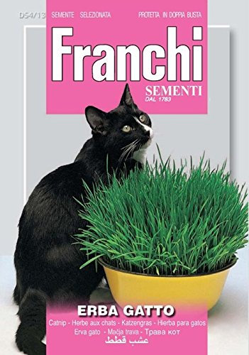 N. 3 BUSTINE SEMI ERBA GATTO