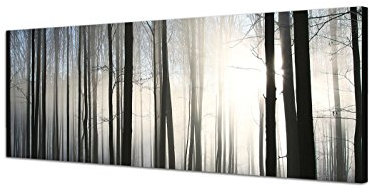 Augenblicke Wandbilder Leinwandbild als Panorama in 150x50cm Wald Winter Schnee Sonnenstrahlen