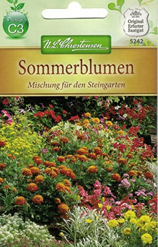 Chrestensen Sonnenblumen 'Mischung für den Steingarten'