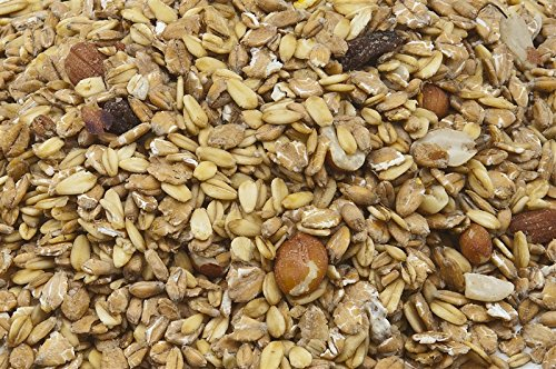 25 kg Fettfutter Wildvogelfutter Ganzjahresvogelfütterung