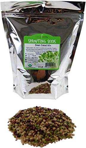 Bean Salad Sprouting Seed Mix – Organic – 2.5 lb – Adzuki, Green Lentil & Radish Blend – for Home Sprouting, Salads, Soup & Food Storage